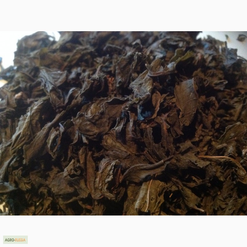 Фото 2. Ферментированный иван чай, чайные травяные сборы