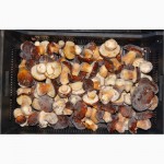 Продам замороженные белые грибы