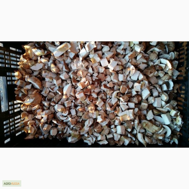 Фото 3. Продам замороженные белые грибы