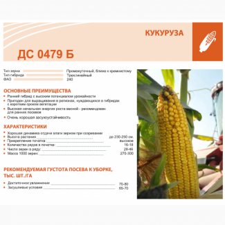 Купить семена кукурузы ДС 0479 Б по низкой цене