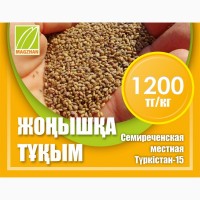 Оптом семена риса, люцерны и пшеницы