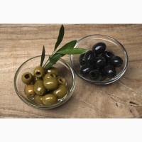 Куплю оливки, маслины оптом