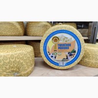 ОООСантарин, реализует большой ассортимент сыров, сырного продукта, обезжиренных сыров