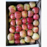 Продам яблоки Краснодарские сорт Флорина