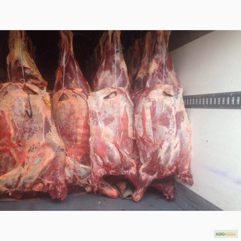 Мясо на кости говядина 1 кат п/т замор. ГОСТ Р 54315-2011 (Россия 85+ Белоруссия 100+)