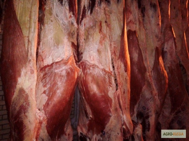 Фото 2. Мясо на кости говядина 1 кат п/т замор. ГОСТ Р 54315-2011 (Россия 85+ Белоруссия 100+)