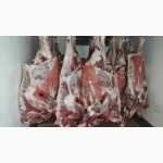 Мясо на кости говядина 1 кат п/т замор. ГОСТ Р 54315-2011 (Россия 85+ Белоруссия 100+)