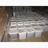 ОПТОВЫЕ поставки мёда в кубоконтейнерах