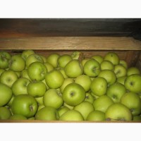 Покупайте яблоки Семеренко. Отменное качество за выгодную цену