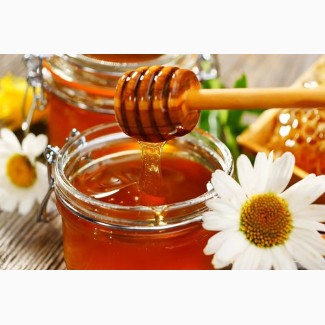 Куплю Воск пергу и другие продукты пчеловодства