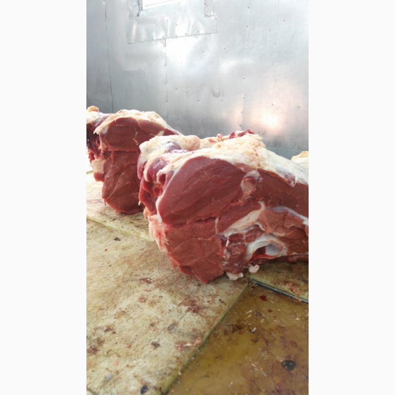 Фото 4. Мясо говядины, туши, полутуши и мясная продукция