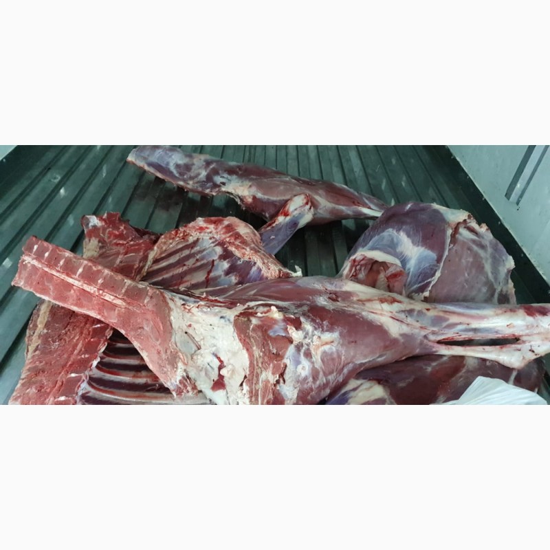 Фото 5. Мясо говядины, туши, полутуши и мясная продукция