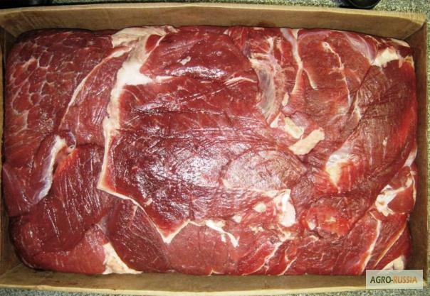 Фото 3. Мясо говядины жилованной (односортное) 1 кат г/з СТО Россия