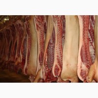 Мясо оптом от производителя свинина говядина курица