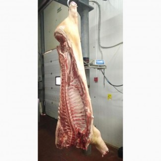 Продам - Свинина в полутушах и свиные субпродукты