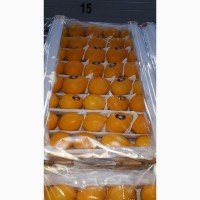 Продаем лимоны узбекские оптом в Москве