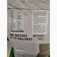 НК Неома/NK Neoma, Syngenta, Семена подсолнечника