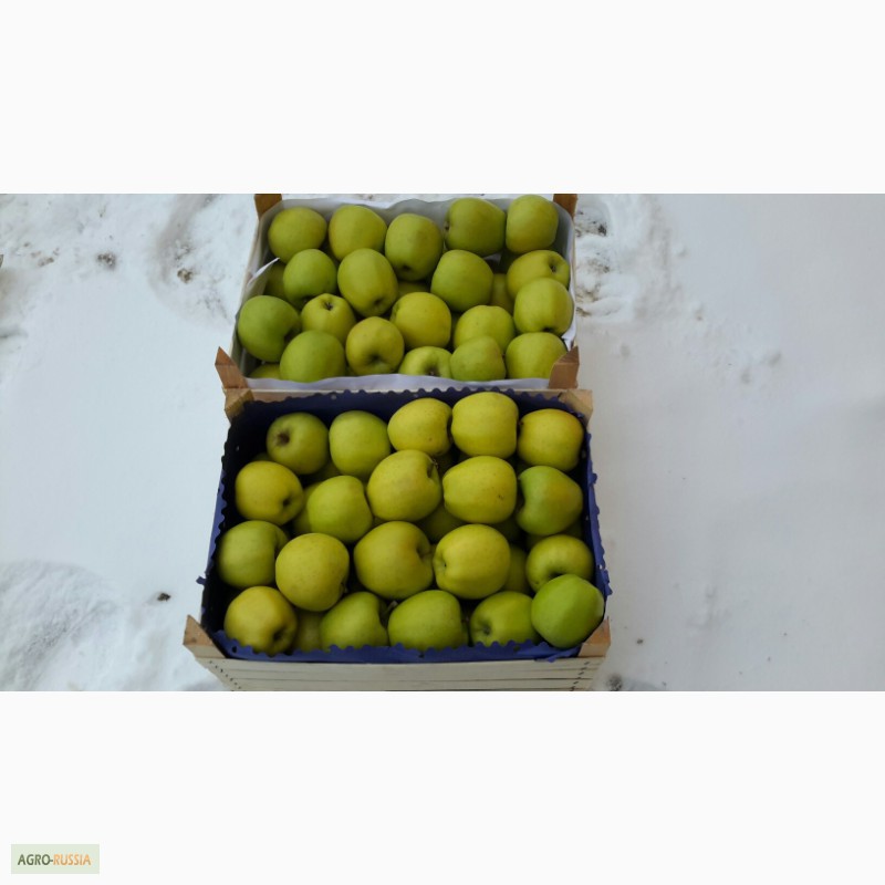 Фото 2. Молдавские яблоки