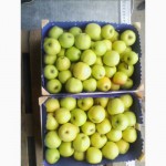 Молдавские яблоки