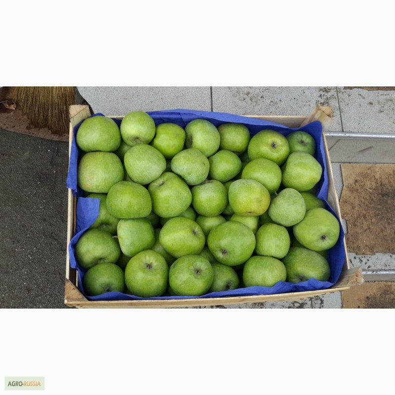 Фото 5. Молдавские яблоки