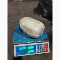 Капуста Пекинская оптом от производителя от 43 руб/кг