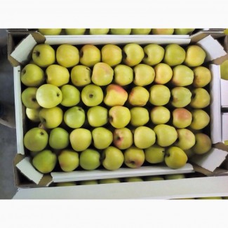 Оптовая поставка яблок по разумным ценам. Разнообразие сортов и безукоризненное качество