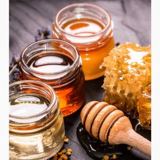 Ищу поставщиков Мёда и продуктов пчеловодства РФ