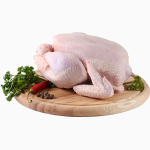 Продам курицу оптом в Крыму