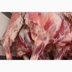 Мясо на РФ Говядина Бык, корова, блочка и Цыплята Бройлер