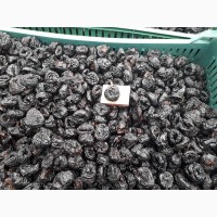 Продам чернослив из Молдовы
