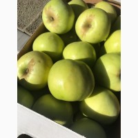 Яблоки Краснодарские