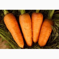 Продам картофель, морковь, свекла, капуста, лук