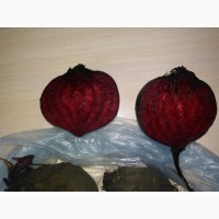 Продам картофель, морковь, свекла, капуста, лук