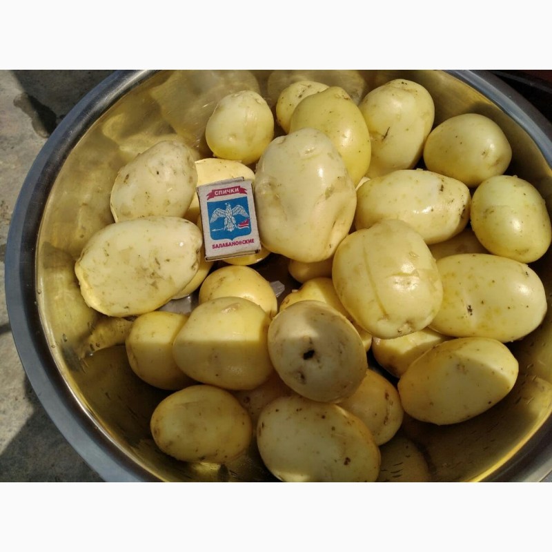 Продам/ картофель оптом от производителя, Краснодарский край .