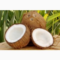 Продам кокосы