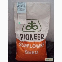 Семена подсолнечника ПИОНЕР(PIONEER), США