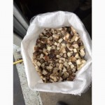 Продажа грибов замороженных белых(кубик)