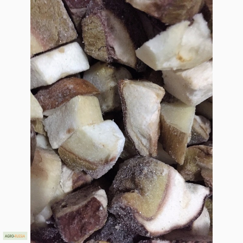 Фото 7. Продажа грибов замороженных белых(кубик)