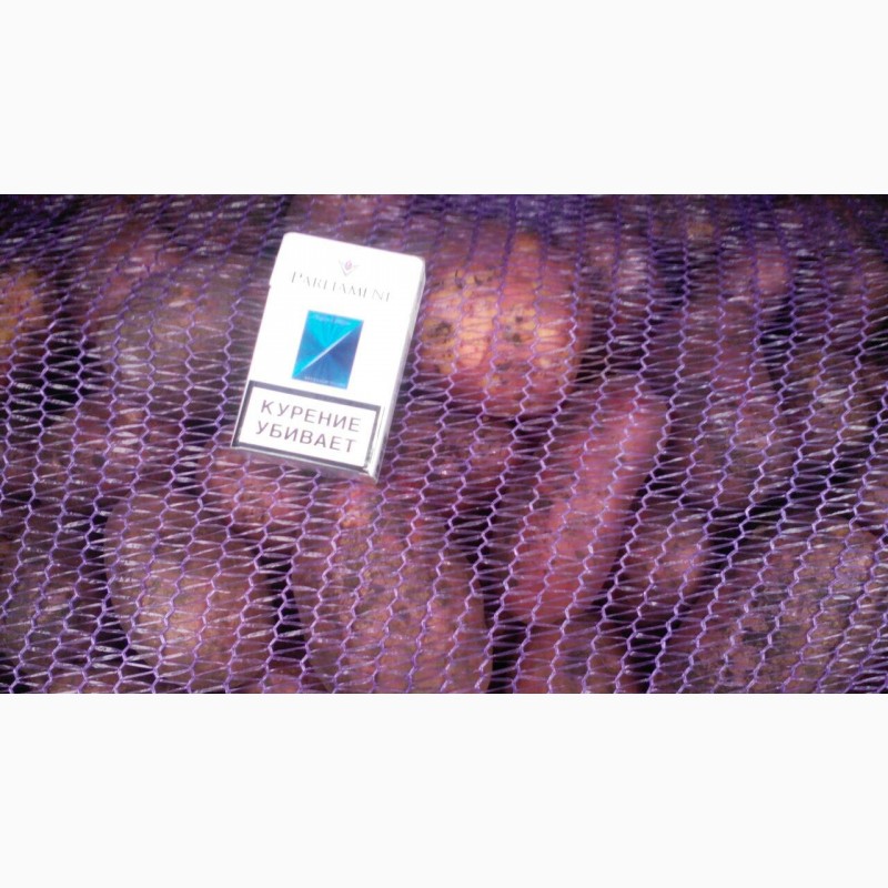 Фото 5. Картофель от 5+ оптом от производителя, Лабелла, Ред Скарлет, Гала, Коломбо от 20 тонн