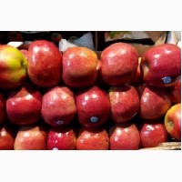 Отгрузка импортных яблок со склада
