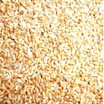Пшеница 3 и 5 класс