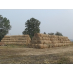 Свежайшее луговое сено в рулонах (350 кг)