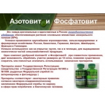 Азотовит и Фосфатовит — представляют собой категорию препаратов, для земледельца