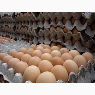 Яйца св высшей категории от птицефабрики