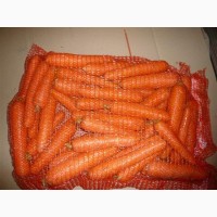 Морковь Желтая оптом от производителя