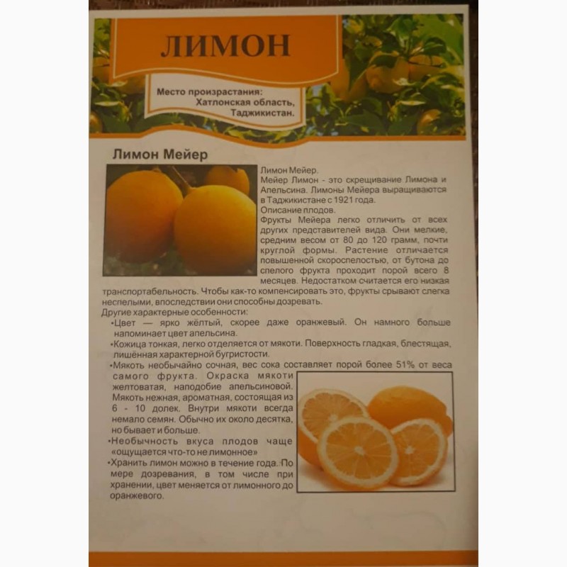Фото 3. Лимон Таджикский с доставкой в регионы РФ, высшее качество Урожай 2019. Только оптом
