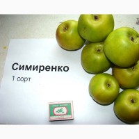 Крымские яблоки оптом от производителя от 30 р/кг, Крым