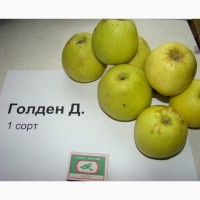 Крымские яблоки оптом от производителя от 30 р/кг, Крым