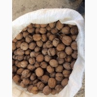 Продам орех грецкий урожай 2017года