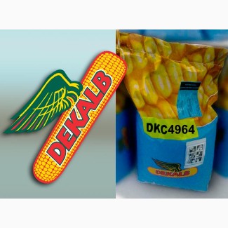 Гибрид кукурузы ДКС 4964